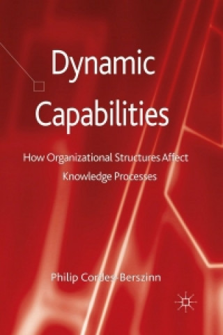 Knjiga Dynamic Capabilities Philip Cordes-Berszinn