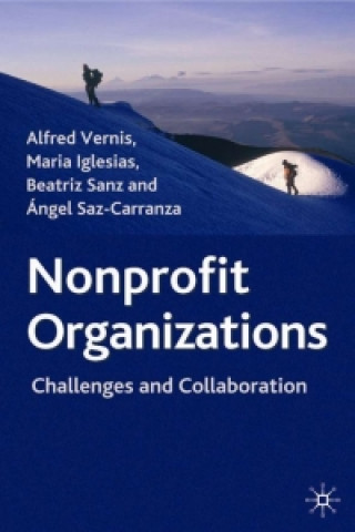 Kniha Nonprofit Organizations Alfred Vernis