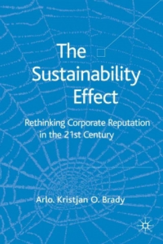 Kniha The Sustainability Effect A. Brady