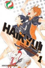 Kniha Haikyu!!, Vol. 1 Haruichi Furudate