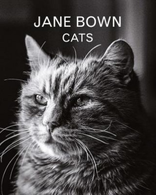 Carte Jane Bown: Cats Jane Bown
