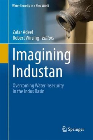 Könyv Imagining Industan Zafar Adeel