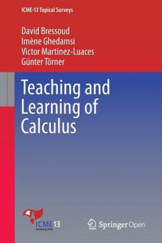 Книга Teaching and Learning of Calculus David Bressoud