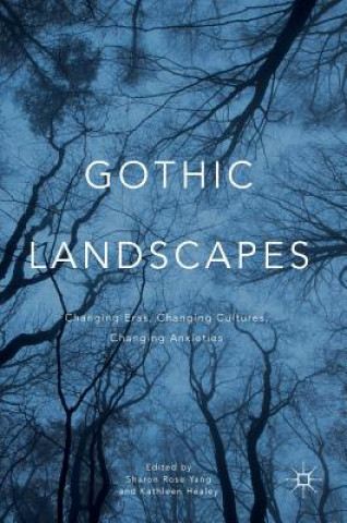 Knjiga Gothic Landscapes Sharon Yang