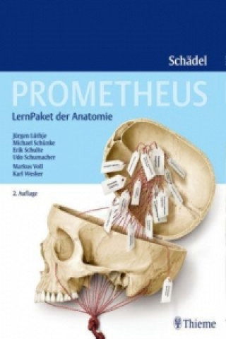 Hra/Hračka Prometheus Schädel, LernPaket der Anatomie Jürgen Lüthje