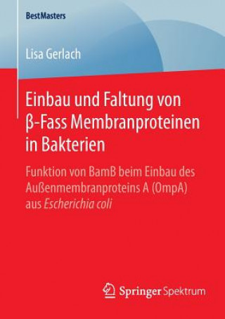 Kniha Einbau und Faltung von beta-Fass Membranproteinen in Bakterien Lisa Gerlach