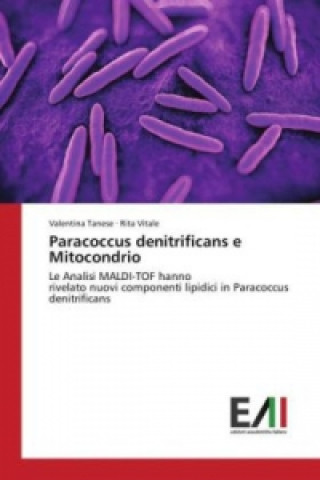 Kniha Paracoccus denitrificans e Mitocondrio Valentina Tanese