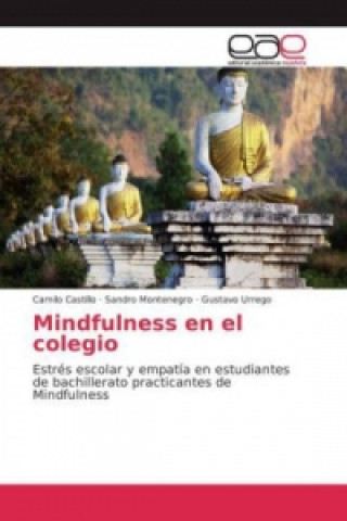 Książka Mindfulness en el colegio Camilo Castillo