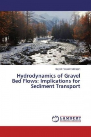 Carte Hydrodynamics of Gravel Bed Flows: Implications for Sediment Transport Seyed Hossein Mohajeri