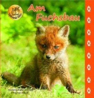 Kniha Am Fuchsbau Heiderose Fischer-Nagel