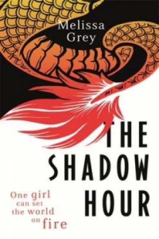 Kniha Shadow Hour Melissa Grey
