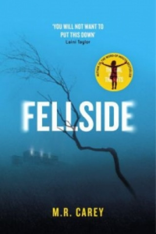 Książka Fellside M. R. Carey