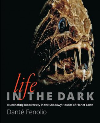 Libro Life in the Dark Dante Fenolio