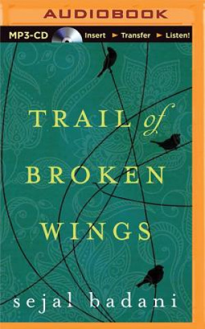Könyv Trail of Broken Wings Sejal Badani