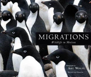 Kniha Migrations Art Wolfe