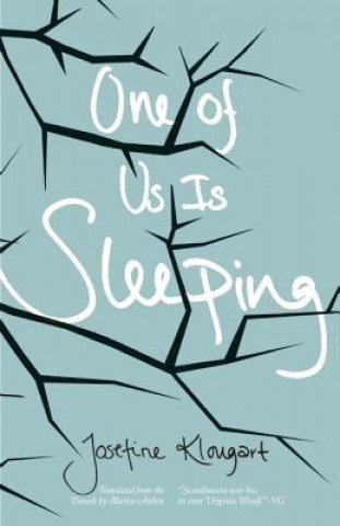 Könyv One Of Us Is Sleeping Josefine Klougart