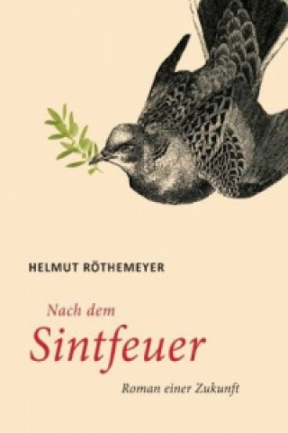 Kniha Nach dem Sintfeuer Helmut Röthemeyer