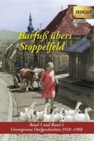 Kniha Barfuß übers Stoppelfeld Jürgen Kleindienst