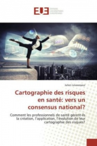 Kniha Cartographie des risques en santé: vers un consensus national? Julien Levavasseur