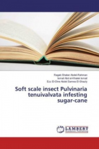 Könyv Soft scale insect Pulvinaria tenuivalvata infesting sugar-cane Ragab Shaker Abdel-Rahman