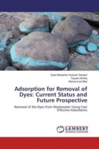 Książka Adsorption for Removal of Dyes: Current Status and Future Prospective Syed Mubashar Hussain Gardazi
