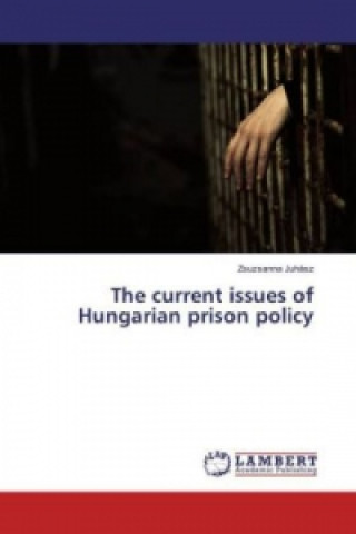 Kniha The current issues of Hungarian prison policy Zsuzsanna Juhász