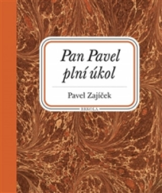 Könyv Pan Pavel plní úkol Pavel Zajíček