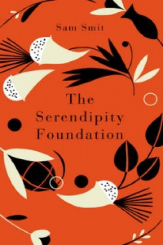 Kniha Serendipity Foundation Sam Smit