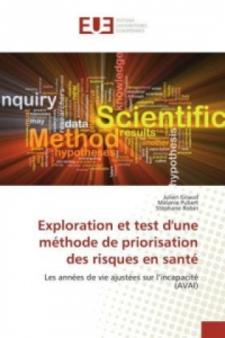 Knjiga Exploration et test d'une méthode de priorisation des risques en santé Julien Giraud