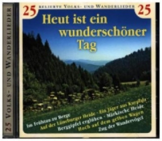 Audio Heut ist ein wunderschöner Tag, 1 Audio-CD 