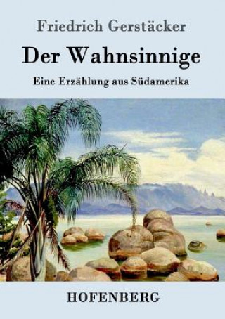 Kniha Wahnsinnige Friedrich Gerstacker