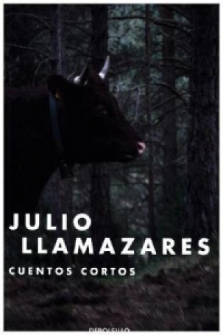 Book Cuentos Cortos Julio Llamazares