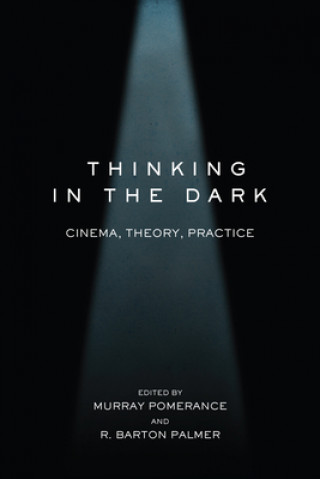 Kniha Thinking in the Dark Murray Pomerance
