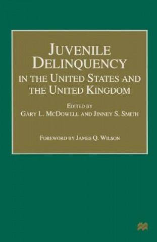 Buch Juvenile Delinquency in the United States and the United Kingdom Gary L. McDowell