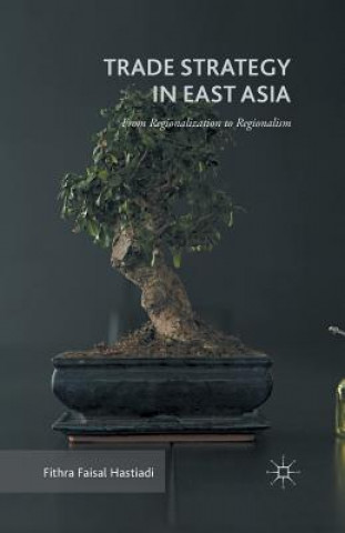 Kniha Trade Strategy in East Asia Fithra Faisal Hastiadi