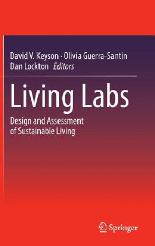 Kniha Living Labs David V. Keyson