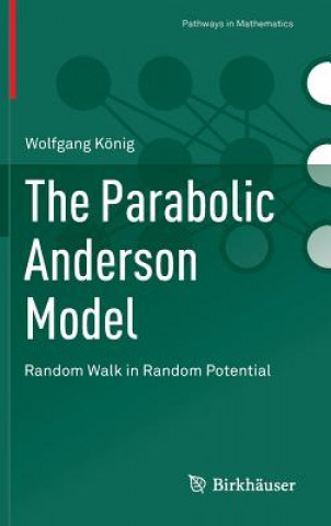 Книга Parabolic Anderson Model Wolfgang König