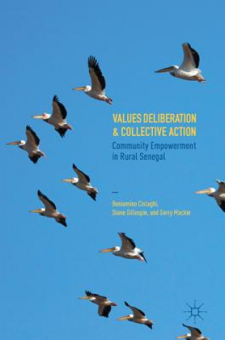 Könyv Values Deliberation and Collective Action Beniamino Ferdinando Cislaghi