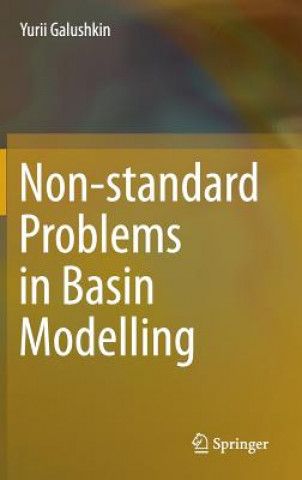 Buch Non-standard Problems in Basin Modelling Yurii Galushkin