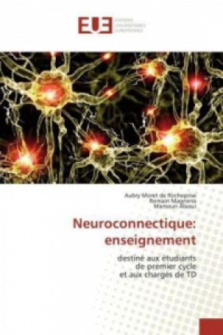 Carte Neuroconnectique: enseignement Aubry Moret de Rocheprise
