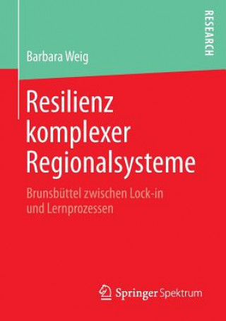 Kniha Resilienz komplexer Regionalsysteme Barbara Weig
