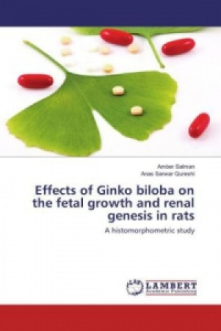 Книга Effects of Ginko biloba on the fetal growth and renal genesis in rats Amber Salman