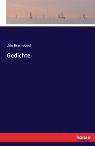 Libro Gedichte Udo Brachvogel