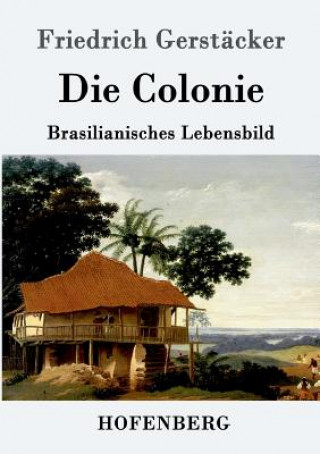 Kniha Colonie Friedrich Gerstacker