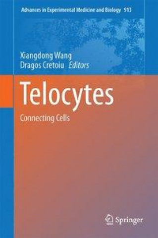 Carte Telocytes Xiangdong Wang