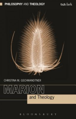 Kniha Marion and Theology Prof. Christina M. Gschwandtner