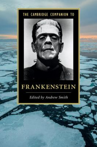Carte Cambridge Companion to Frankenstein Andrew Smith