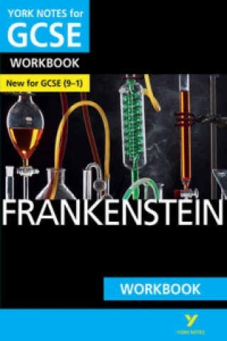 Kniha Frankenstein WORKBOOK: York Notes for GCSE (9-1) Susan Chaplin