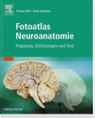 Kniha Fotoatlas Neuroanatomie Thomas Deller