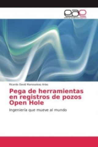 Kniha Pega de herramientas en registros de pozos Open Hole Ricardo David Manosalvas Arias